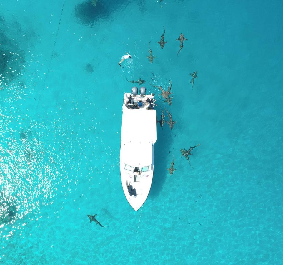 Ecoboo Maldives Ξενοδοχείο Thinadhoo  Εξωτερικό φωτογραφία